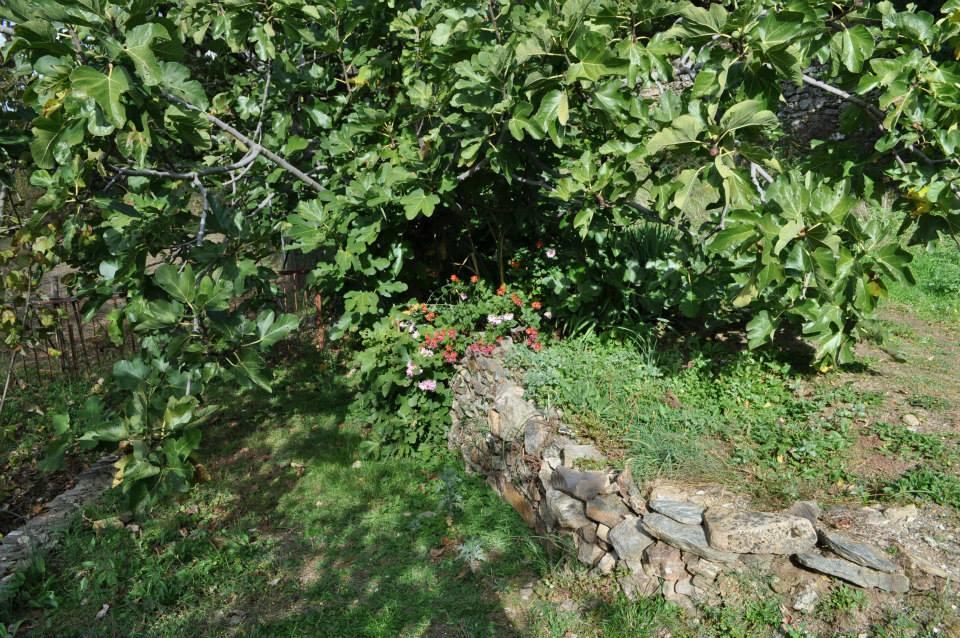 Mattale Villa Tonara Exteriör bild